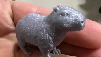 Capibara Capibara