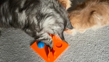 Игрушка для кошек, Katzenspielzeug 2