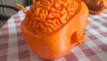 Контейнер для Хэллоуина с мозгами зомби......... 3