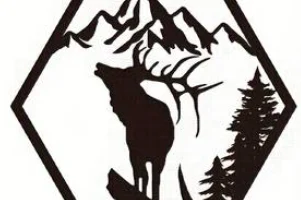 4шт декоративные рамки Лось Олень Волк Медведь Шестиуголь... 2
