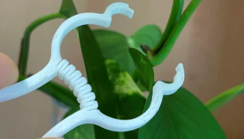 Plant clip 2