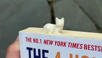 3D закладка Кот 1