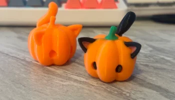 кот тыквы (без подставок)