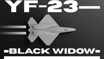 Микрореактивный истребитель YF-23 Black Widow II с распеч...