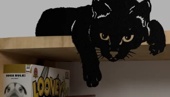 Кот на полке