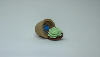 Кликер Succulent Plant Fidget - обновлено! 1