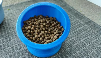 Миска для кошачьего корма
