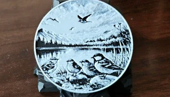 Lakeside Birds - Дизайнерские горки