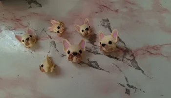 FRENCHIE BUDDY: милый брелок-крокодил из французского бул... 4