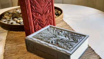 Секретная книга-хранилище - издание "Дракон"......... 3