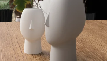Face Vase 2