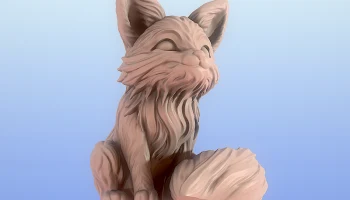 Cute Fox 1 3