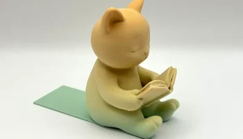Читающий кошачий форзац 5