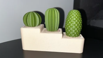 Cactus set 1