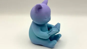 Читающий кошачий форзац 1