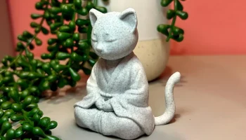 Кот-кот медитирует