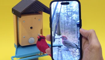 Камера кормушки Iot Birder 1