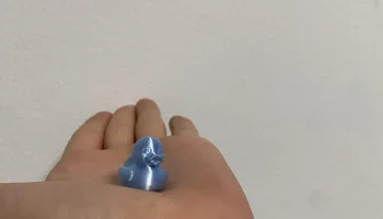 mini Duck 1