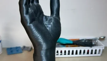 Естественное положение кисти и предплечья (сканирование).... 1