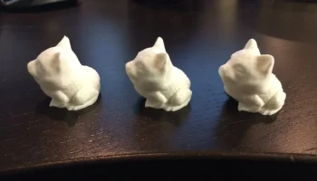 Toad Cat 2