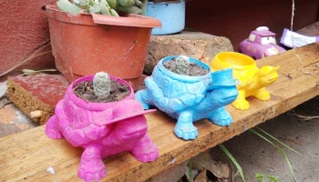 Kid Turtle Pot - Planter / Maceta Tortuga Ni&ntilde;o Remix 2