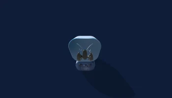 Лукарио Корсар 1