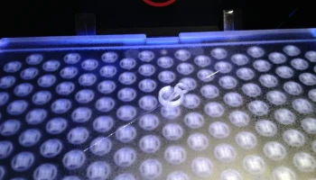 Replicator 2 Feed Tube Buddy 2