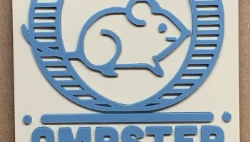 Колесо Амстера 1