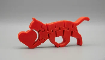 Valentine Flexi Cat - Гибкий кот с сердцем