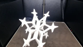 Snowflake 9