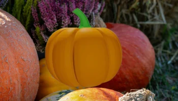 Pumpkin 3