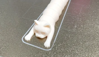 Flexi Holding Cat (печать на месте) 4