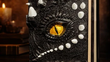Обложка для книг Dragon Design DIY Обложка для книг........