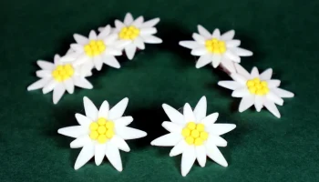 Эдельвейс Серьги/Аксессуары 8