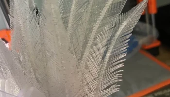 Split Feathers (ремикс на Super Realistic Feathers)