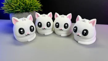 Cute Cat 4