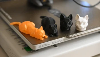 Кошка "Фурия" - готова к броску, поза и голова....