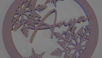 Изготовленное на заказ украшение рождественской елки....... 3