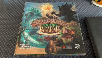 Вставка Spirit Island Все полезное в основных +NI-боксах... 6