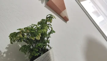 Стильные подвесные кашпо 1