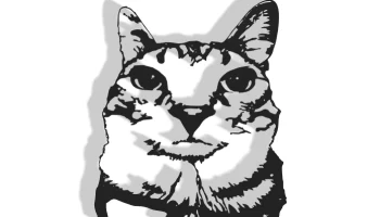 Cat Decor 0