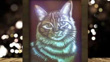 Световой короб для портретов кошек (кошачья голова)... 1