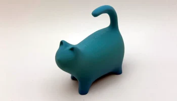 The Cat