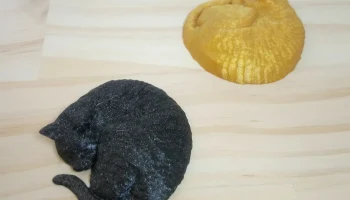 Спящий кот