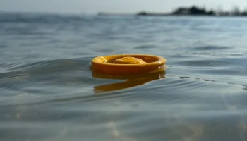 AquaFlyer: идеальная плавающая мини-фрисби............ 1
