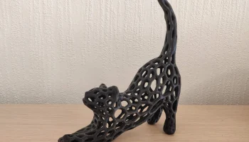 Cat Stretch Voronoi Remix