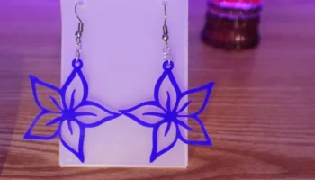 Earrings 1