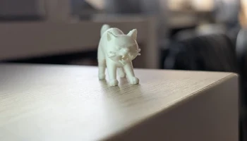 Мини катцен Коллекция 4
