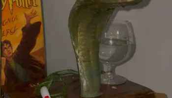 Диспенсер для вина Nagini - носик в виде головы змеи, вдо... 3