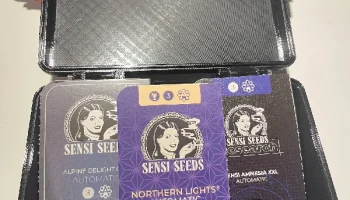 Прочный ящик Sensi Seeds для семян и конопли........ 1